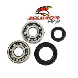 Roulements + spys de vilebrequin Suzuki 125 RM 89/08- Merci de cliquer sur l'image pour les détails.