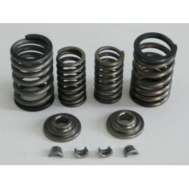 Ressots + coupelles + clips 125 xls xlr